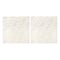 12" x 12" Gold Plants Vellum Paper by Recollections™
